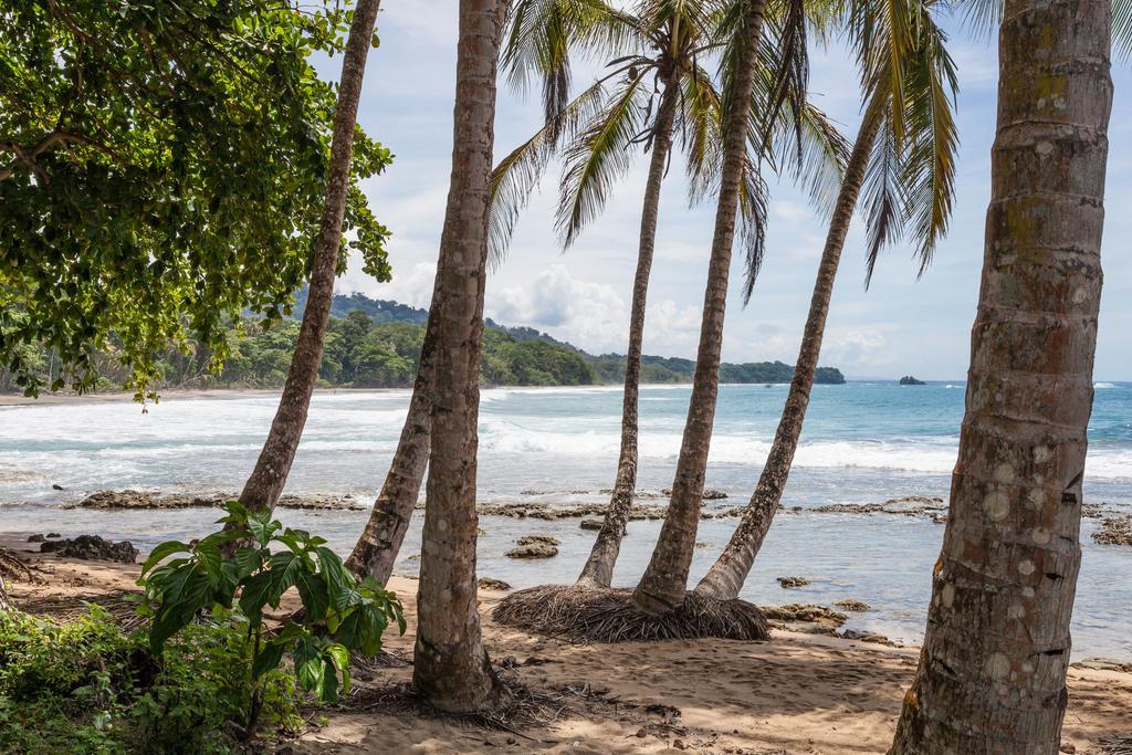 Relax Natural Village Adults Only Puerto Viejo de Talamanca Esterno foto