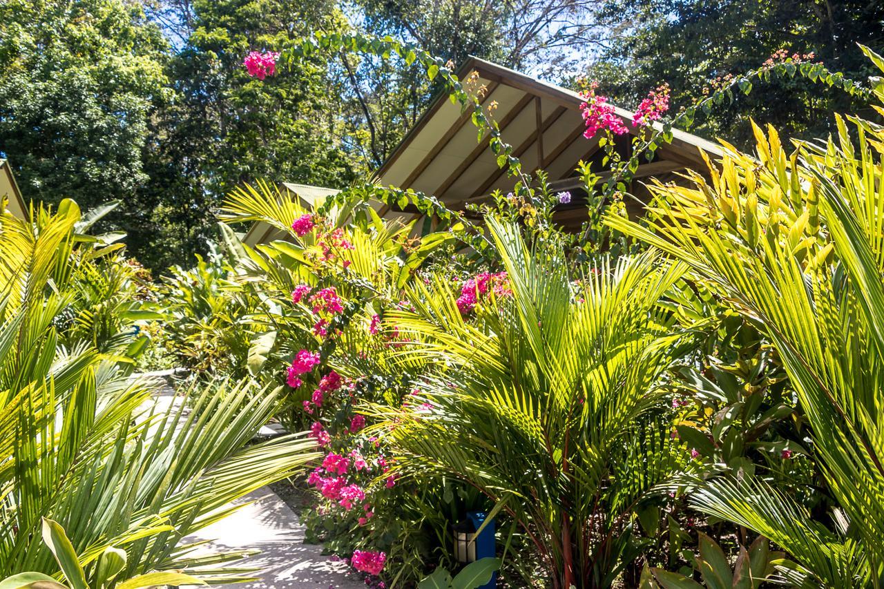 Relax Natural Village Adults Only Puerto Viejo de Talamanca Esterno foto